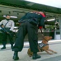 Empat Anjing Pelacak Siap Endus Provokator