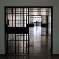 Ambil Buah Seharga Ribuan Diancam 7 Tahun Bui