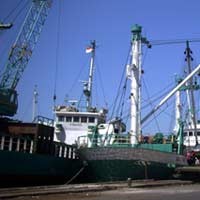 Tertunda 4 Hari, Penumpang Serbu Syahbandar Tanjungwangi 