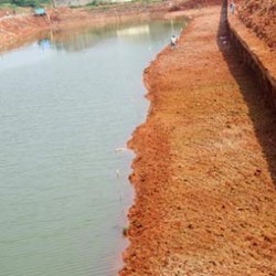 Untuk Penghijauan, 6 Ribu Pohon Akan Ditanam di Sepanjang BKT