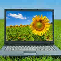 Negara Mana dengan TI Paling Hijau?