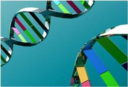 Nenek Moyang Orang Asia Asalnya Asia Tenggara