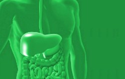 Sclerosing Kolangitis Primer