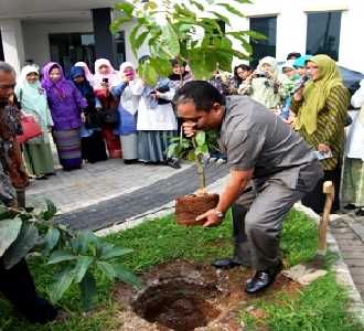 Peringati Hari Ibu dengan Tanam Pohon