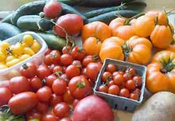 Tak Ada Jaminan untuk Pangan Organik di Indonesia