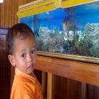 Fatahillah Al Bukhari Giantoro, 3 Tahun; Lelaki; m