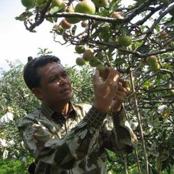 Ikut Tur Sepeda, Bupati Bantaeng Berdarah-darah