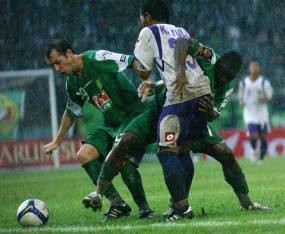 Buah Kesabaran Macan Putih