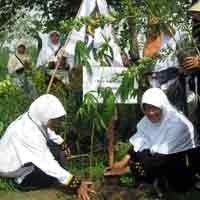 Maknai Hari Ibu, Perempuan PKS Tanam 1.000 Pohon