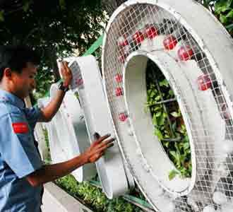 Bersiap Sambut Natal dan Tahun Baru