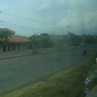 Hijaukan Sepanjang Ruas Jalan Pantura Cirebon