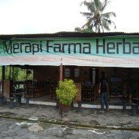 Sehat Alami Jamu Godog Merapi