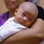 Voxel Navarron Hartono, 2 Bulan; lelaki; m