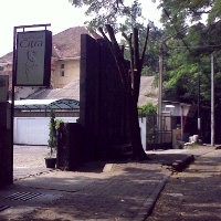 Pohon di Depan Plang Klinik Kecantikan Ditebang 