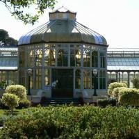 Mengenal Fan Fest di Nelson Mandela Bay 