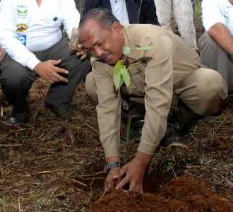 Tanam Pohon di Gunung Salak