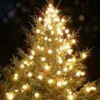 MUI Pamekasan Khawatirkan Natalan Berbahasa Arab