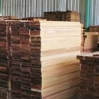 Bea Cukai Gagalkan Ekspor 250 Ton Kayu Olahan Ilegal