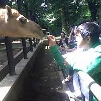 Pengunjung Bonbin Bandung pada Tahun Baru Diprediksi Turun