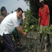 Tanam Mangrove, Arif Minta Warga Greges Jaga Pesisir