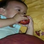 Al Adya Arizta Crizelly, 1,3 Tahun; Lelaki; m