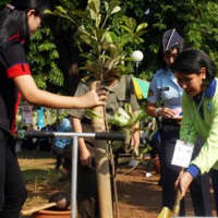 Proyek 500 Juta Pohon Butuh Dana Rp 2,5 Triliun