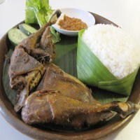 Kepincut Krenyes Gurih Si Bebek Terbang!