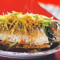 Sehat Plus Lezatnya Ikan Kerapu Tim