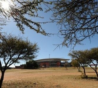 Inspirasi Pohon di Stadion Peter Mokaba