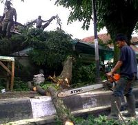 Pohon Tumbang Timpa Kios Batagor