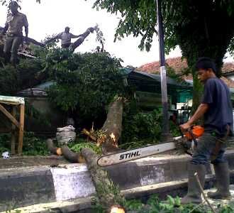 Pohon Tumbang Timpa Kios Batagor