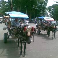Yuk, Wisata Delman di Gedung Sate