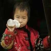 Pabrik Susu Bermelamin di Shanghai Ditutup