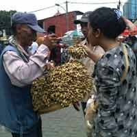 Pedagang Kacang Laris Manis Saat KBS Membludak