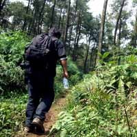 Tempuh Jalur Ilegal, 5 Pendaki Hilang di Gunung Ciremai