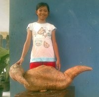 Singkong Mirip Lampu Aladin Raksasa Ditemukan di Pondok Cabe