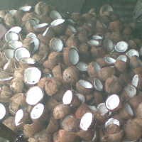 Melongok Sentra Kopra Penggerak Ekonomi