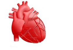 Ungkapan Mengejutkan Soal Jantung