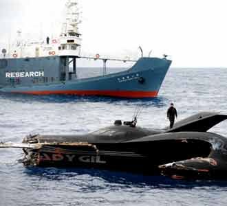 Tabrakan, Kapal Pecinta Paus Terbelah