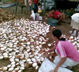 Sentra Kopra Penggerak Ekonomi Banten