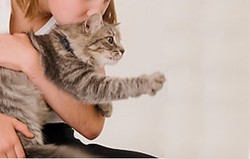  Alergi Hewan Peliharaan