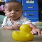 F. Zuhdi Aqila, 1,6 Tahun; Lelaki; m