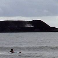 Batubara Pasokan PLTU Cilacap Terbakar di Banyuwangi