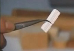 Rotan Digunakan untuk Imitasi Tulang Manusia