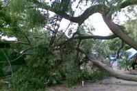 Pohon Tumbang di Pusdiklat Deplu Tutupi Jl Sisingamangaraja