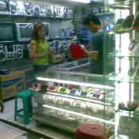 Produk RI Masih Sulit Bersaing Dengan China