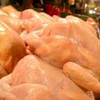 Polisi Gerebek Tempat Pengolahan Bangkai Ayam