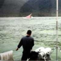 Ombak Tinggi di Teluk Jakarta, Nelayan Tak Melaut