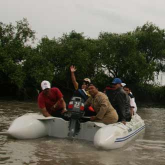 Pelestarian Hutan Mangrove