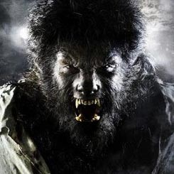  The Wolf Man